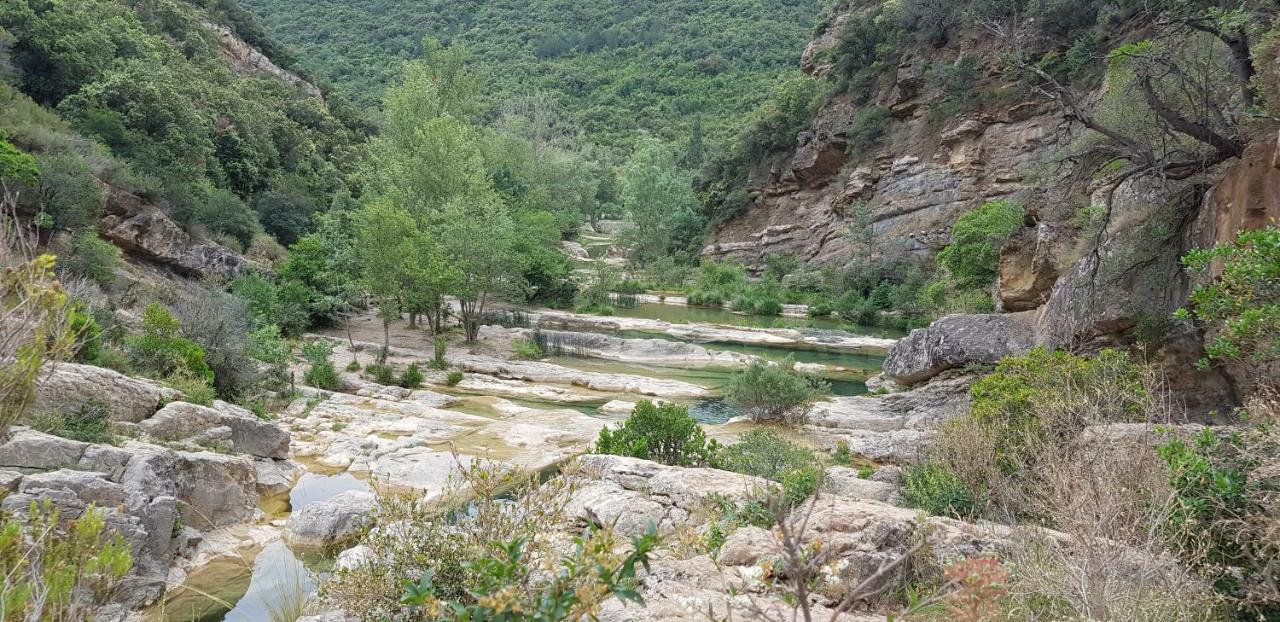 Les Chalets Du Relais D'Aguilar Tuchan Kültér fotó